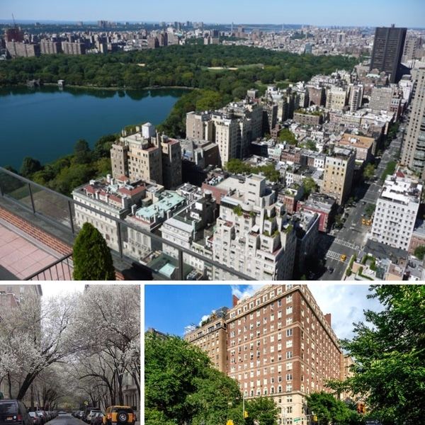 About Carnegie Hill
